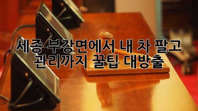 세종 부강면에서 내 차 팔고 관리까지?! 꿀팁 대방출 🚗💨